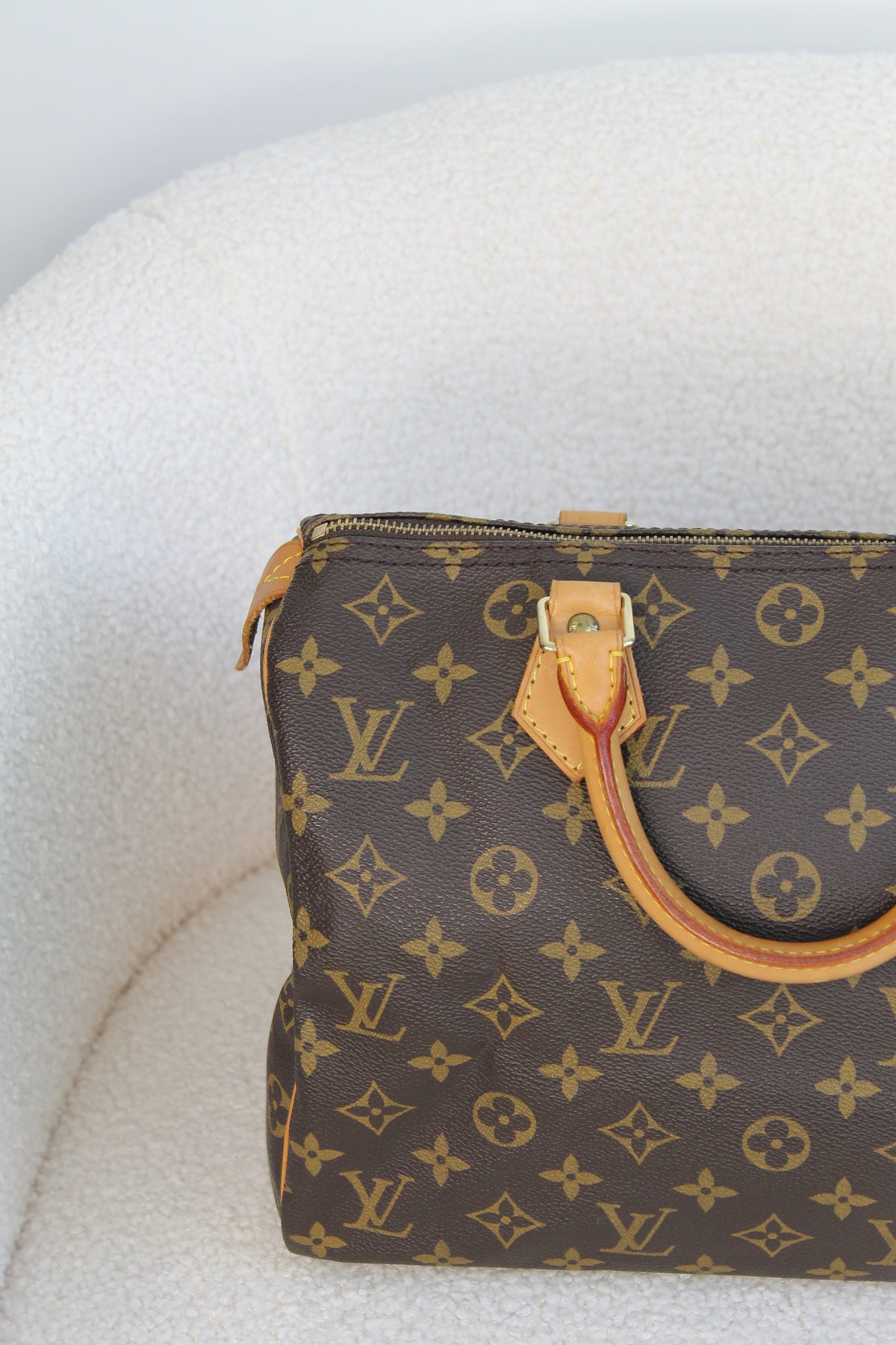 Louis Vuitton Speedy 30