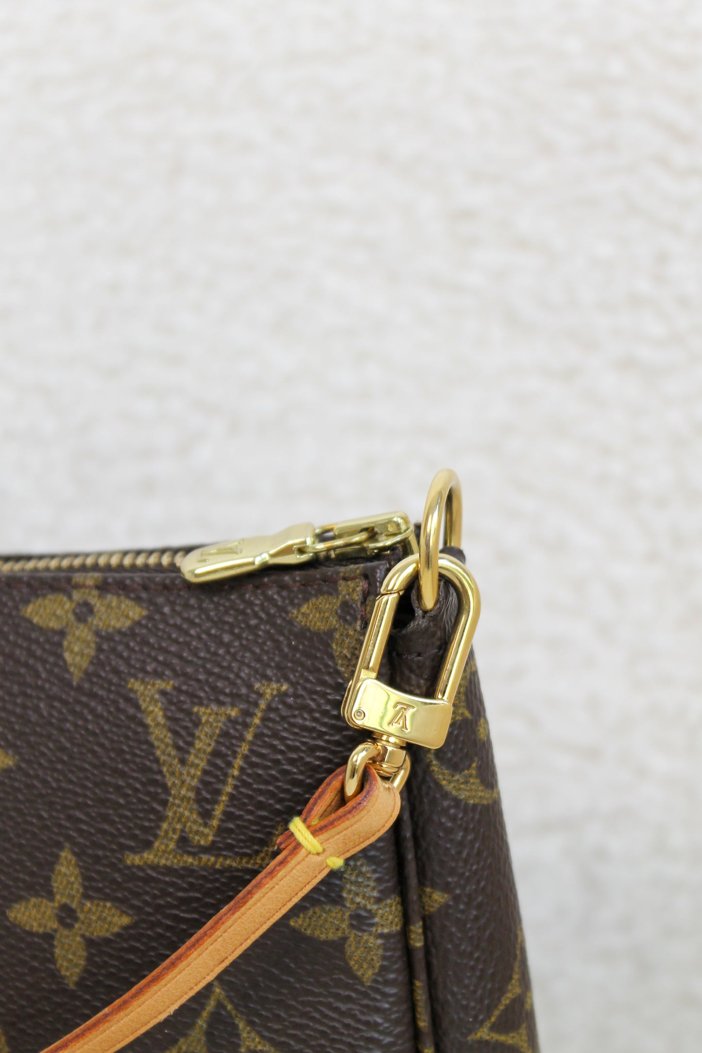 Louis Vuitton Pochette Accessoires