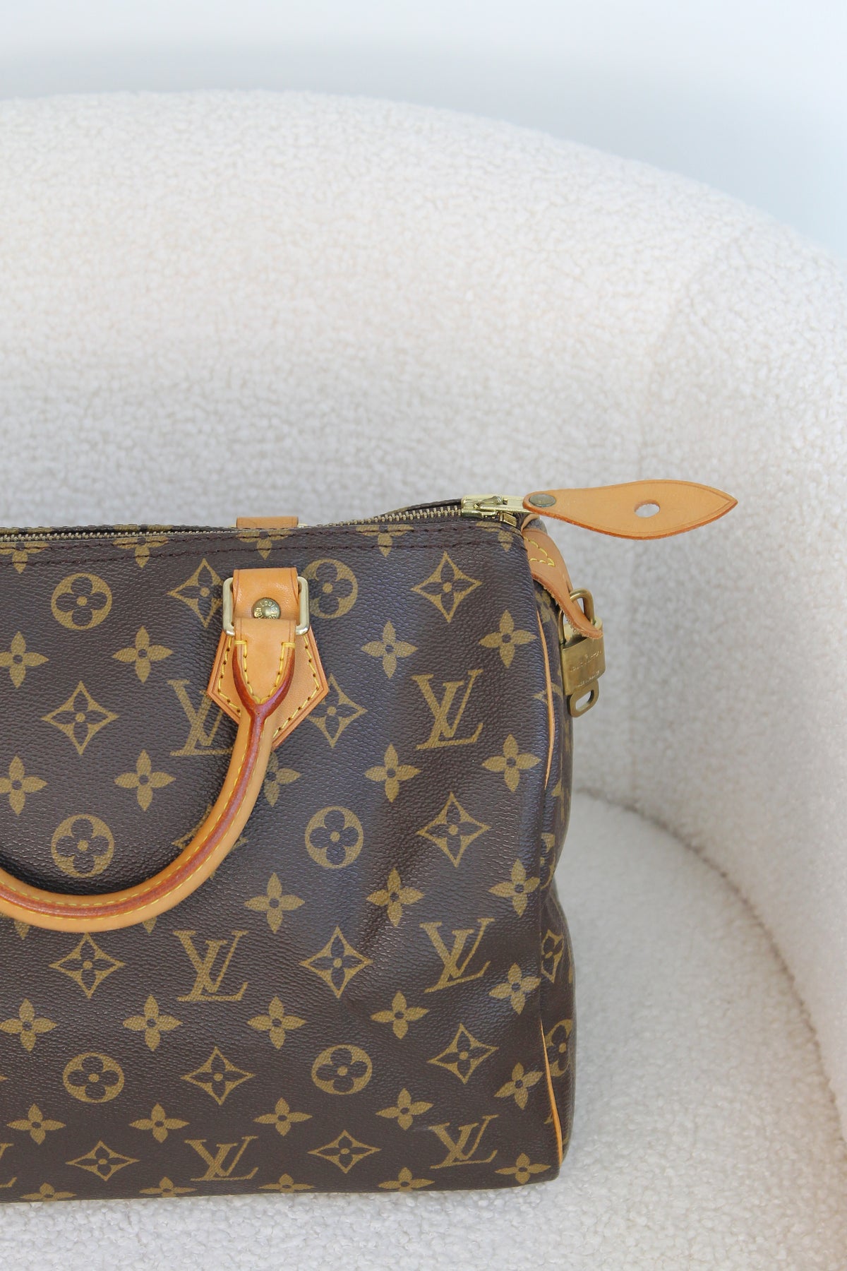 Louis Vuitton Speedy 30