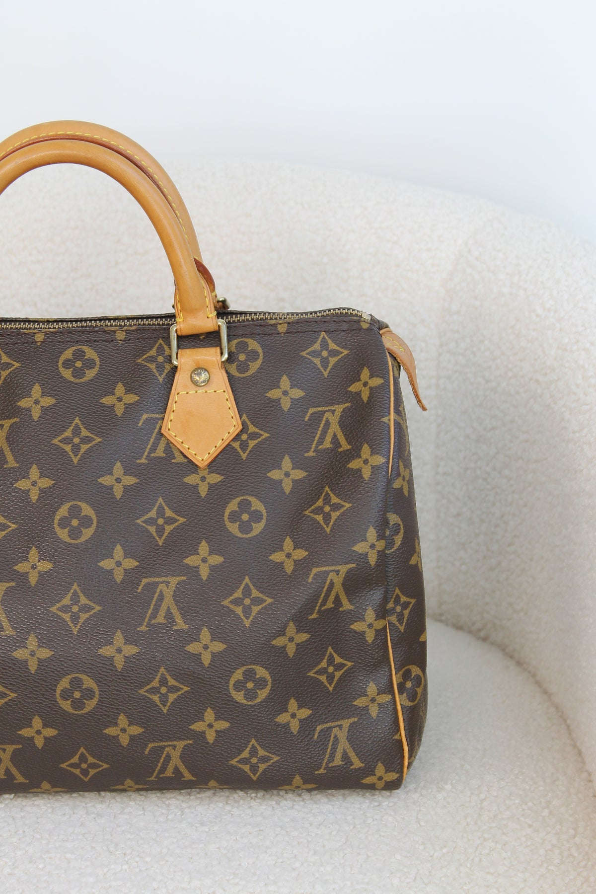 Louis Vuitton Speedy 30