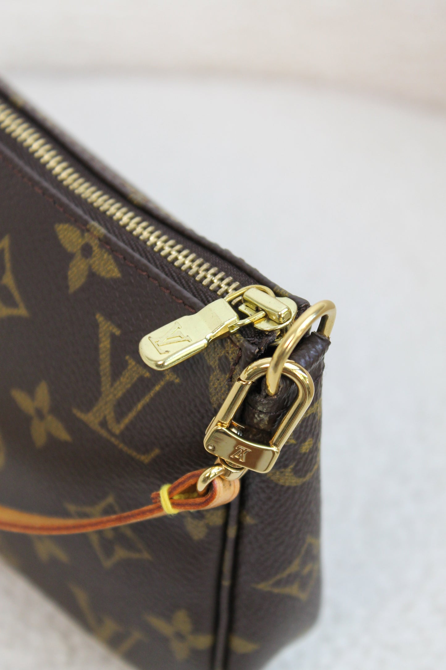 Louis Vuitton Pochette Accessoires