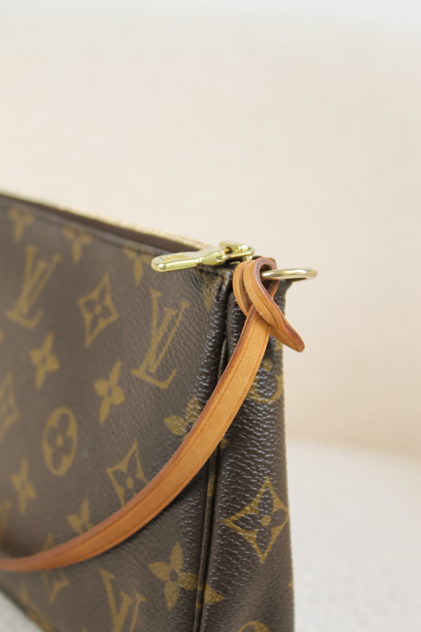 Louis Vuitton Pochette Accessoires