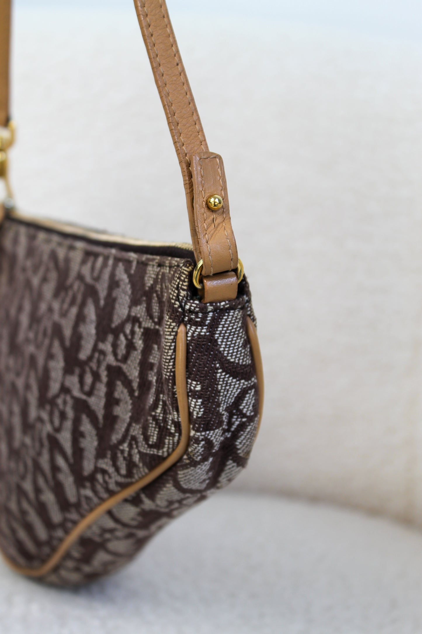 Dior Saddle Bag